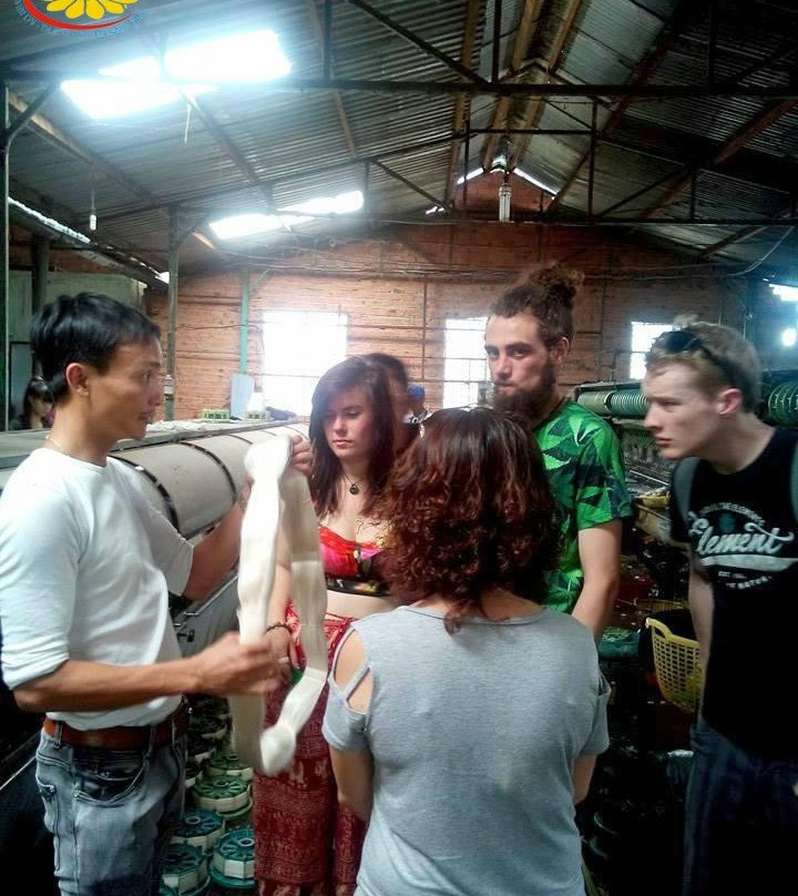 VTour Da Lat - Day tour-Lam Dong必去景点