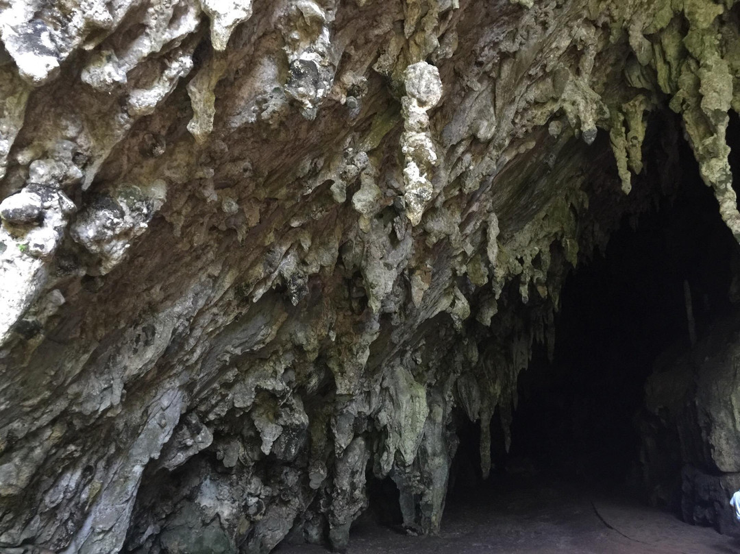 Cave of Guacharo景点图片