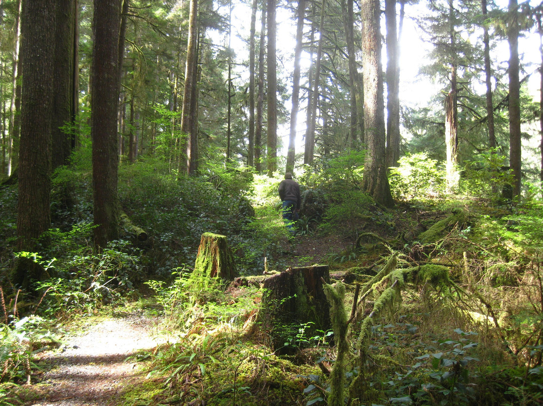 Marble River Provincial Park-Port Alice必去景点