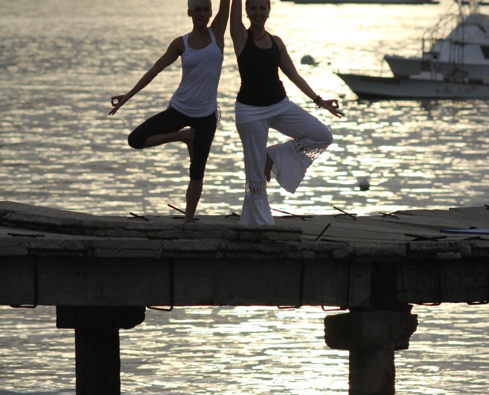 Sattva Yoga-波特雷罗必去景点