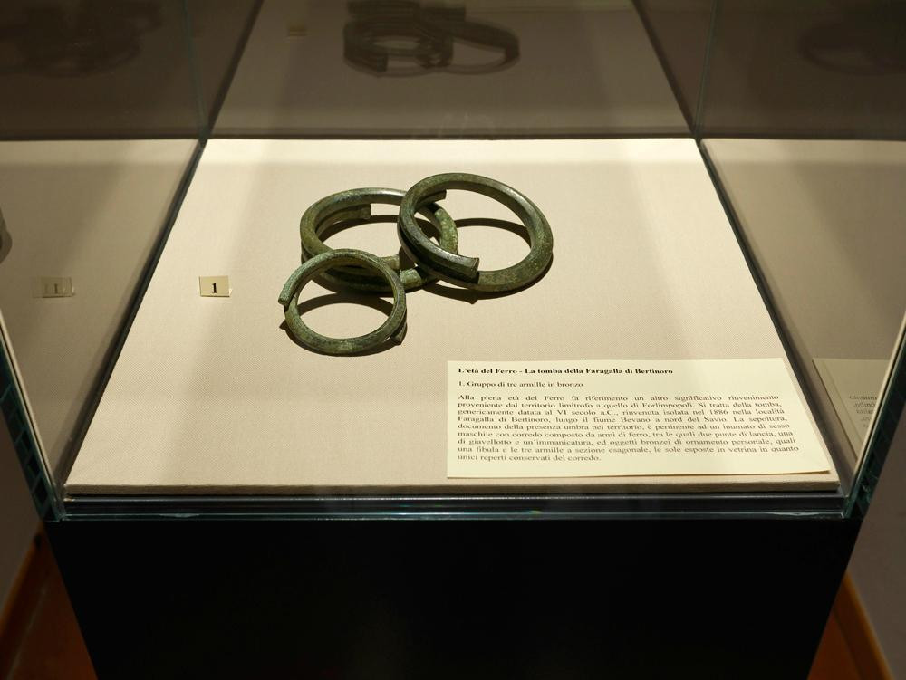 MAF - Museo Archeologico Civico Tobia Aldini-Forlimpopoli必去景点