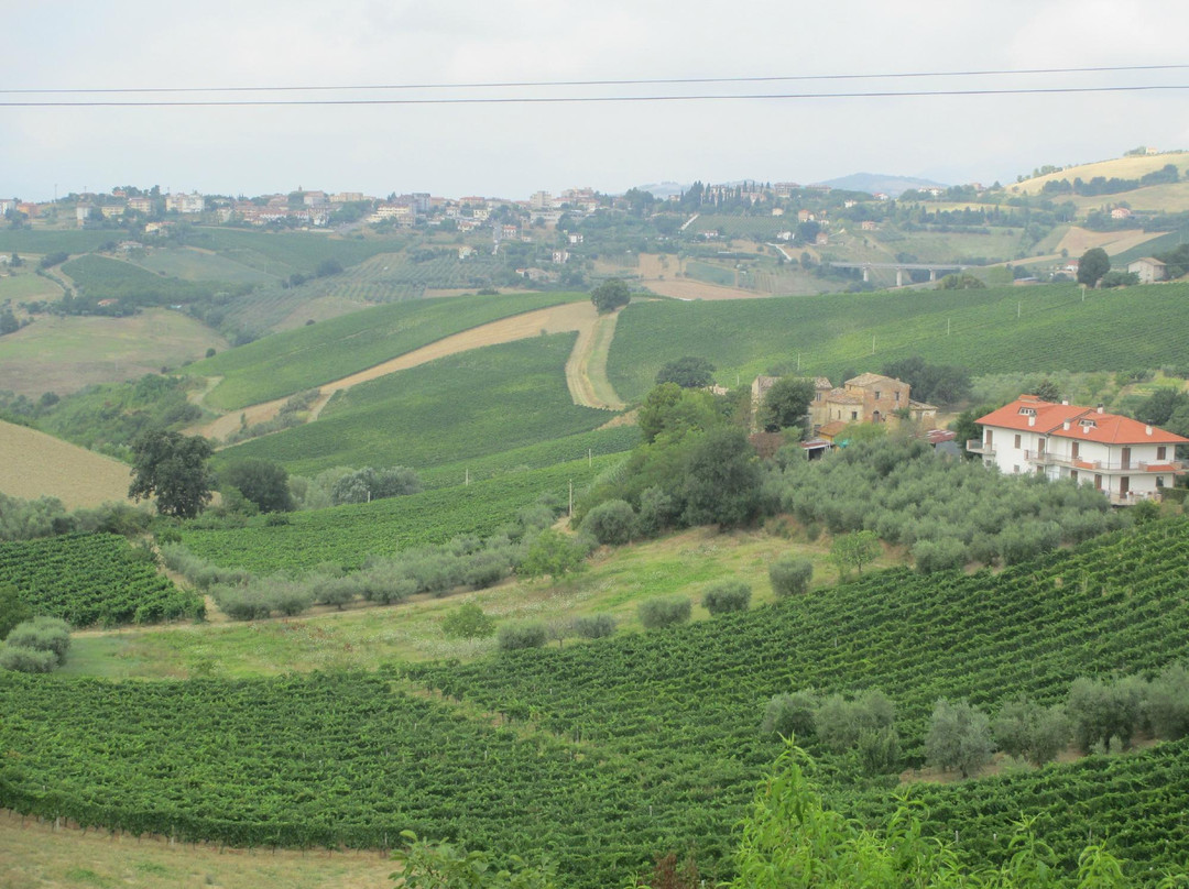 Affittacamere Albachiara