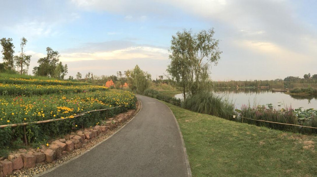 白鹭湾生态湿地公园-成都必去景点