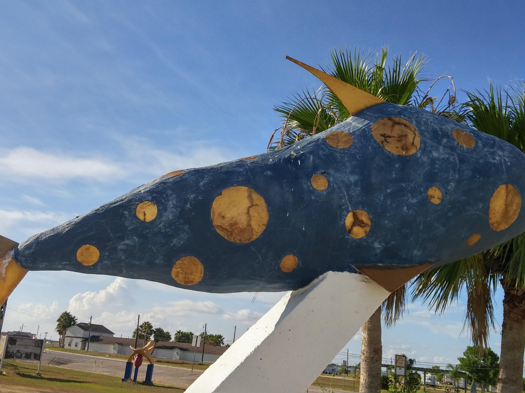 Art Center Seadrift / The Art Boat-Seadrift必去景点