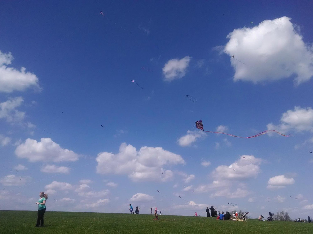 Jacobson Park-列克星敦必去景点