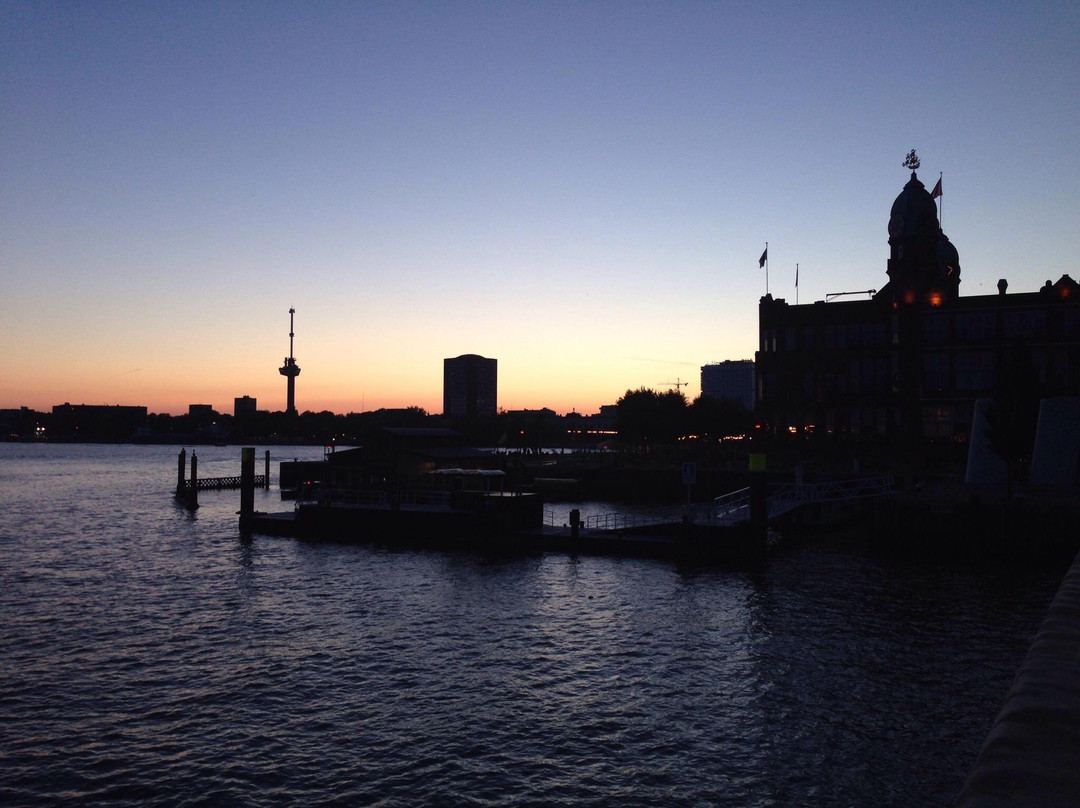 Rijnhavenbrug-鹿特丹必去景点