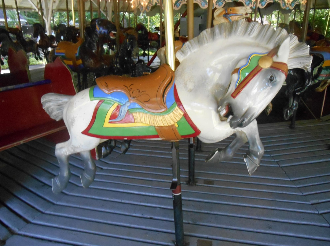 Ross Park Carousel景点图片