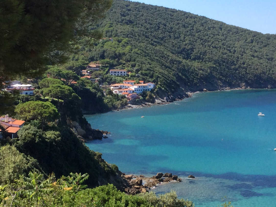 Viticcio Beach景点图片