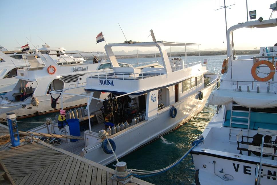 Pro Divers Corner-赫尔格达必去景点