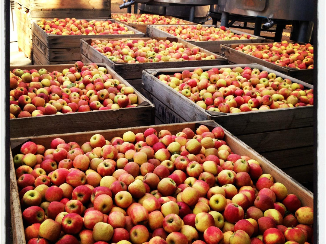 Lost Lake Winery-彭伯顿必去景点