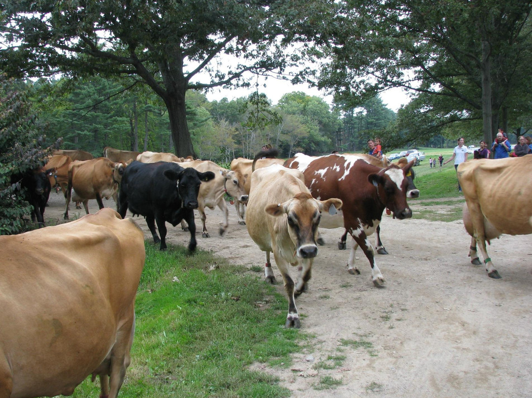 Appleton Farms景点图片
