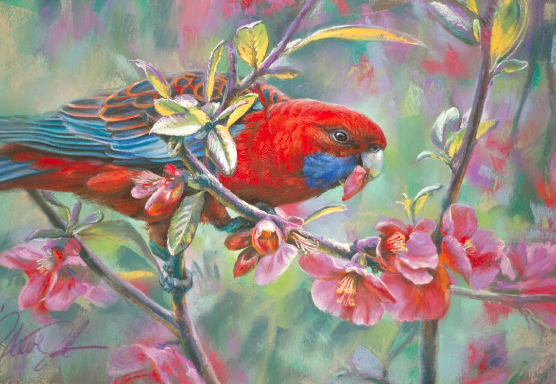 Steve Morvell Wildlife Art-贺思盖必去景点