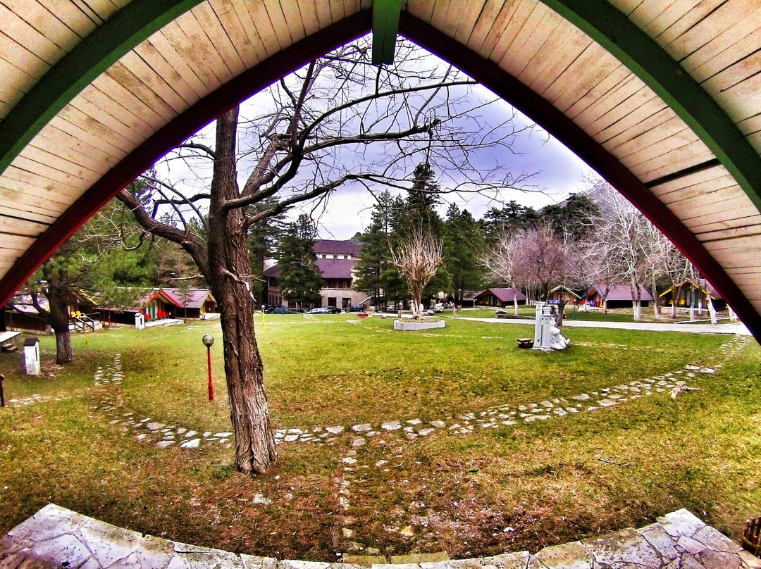 Vlore County酒店住宿-Llogora Tourist Village
