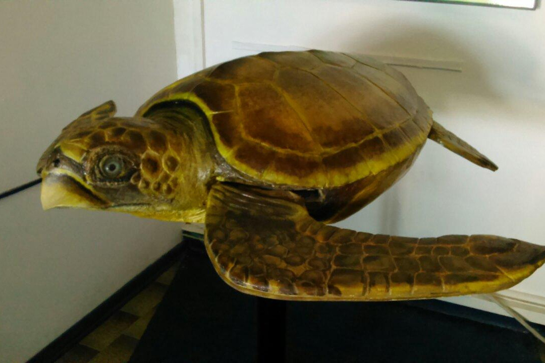 Acquario della laguna di Orbetello景点图片