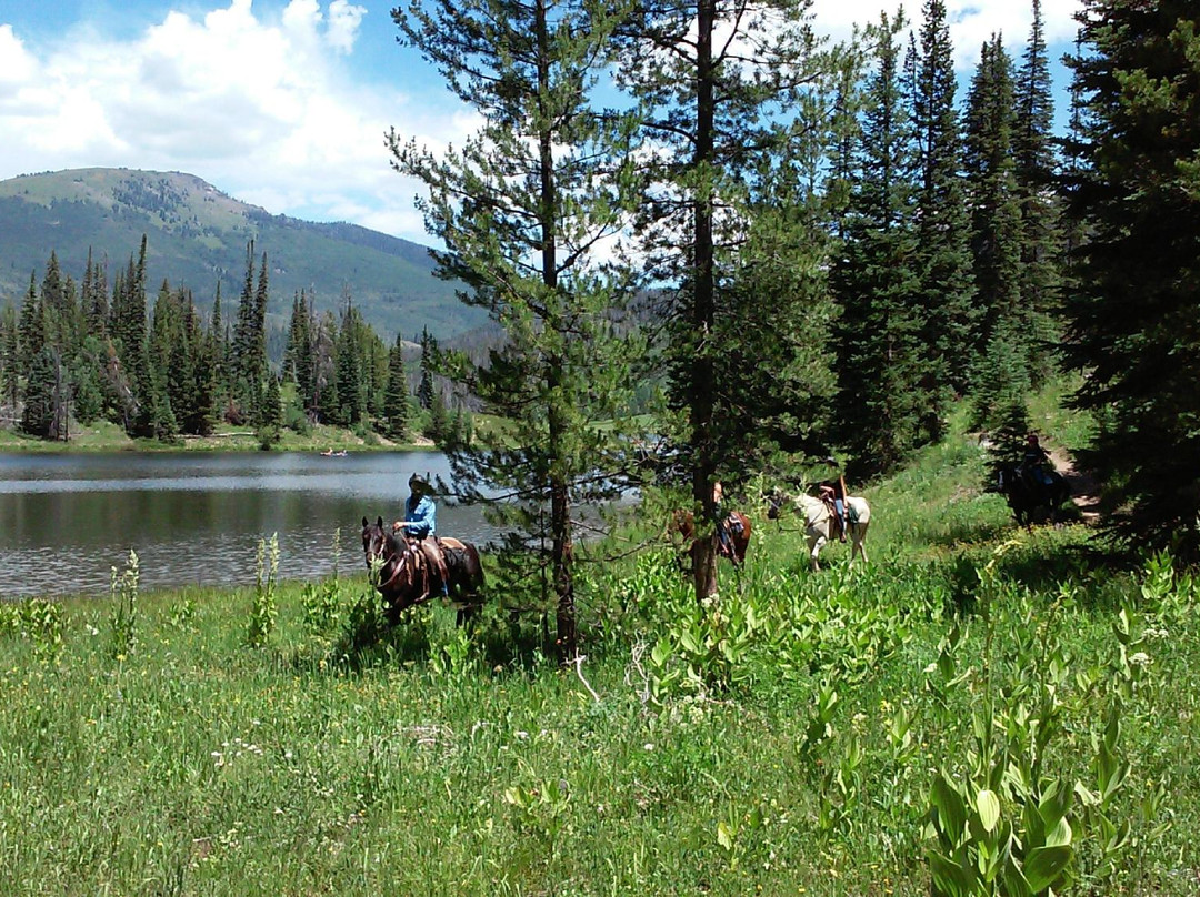 Elk River Guest Ranch-Clark必去景点