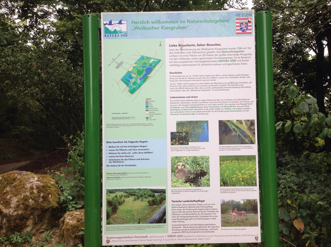 Weilbacher Kiesgruben-Florsheim必去景点