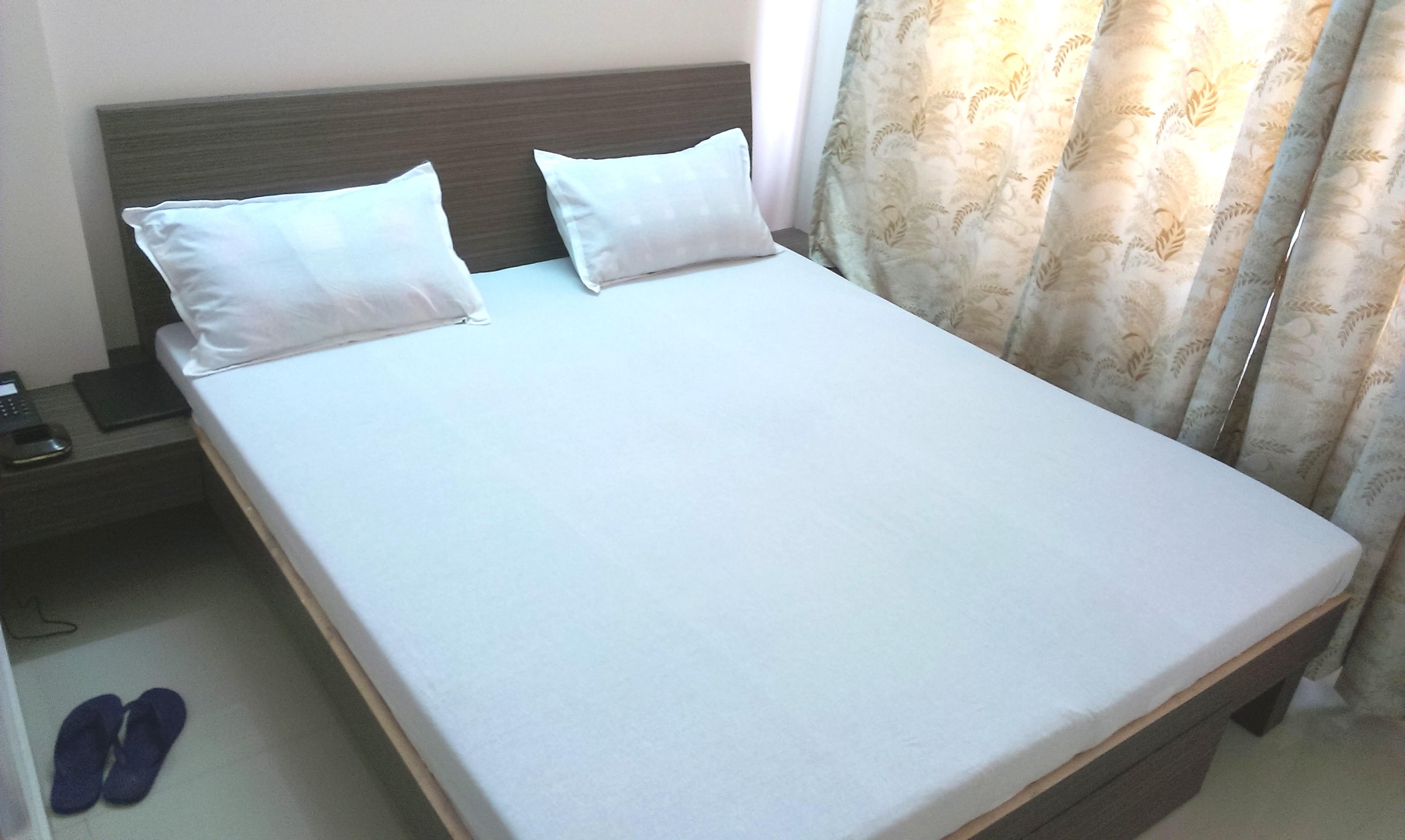 Hotel Shadaab Inn-客卧