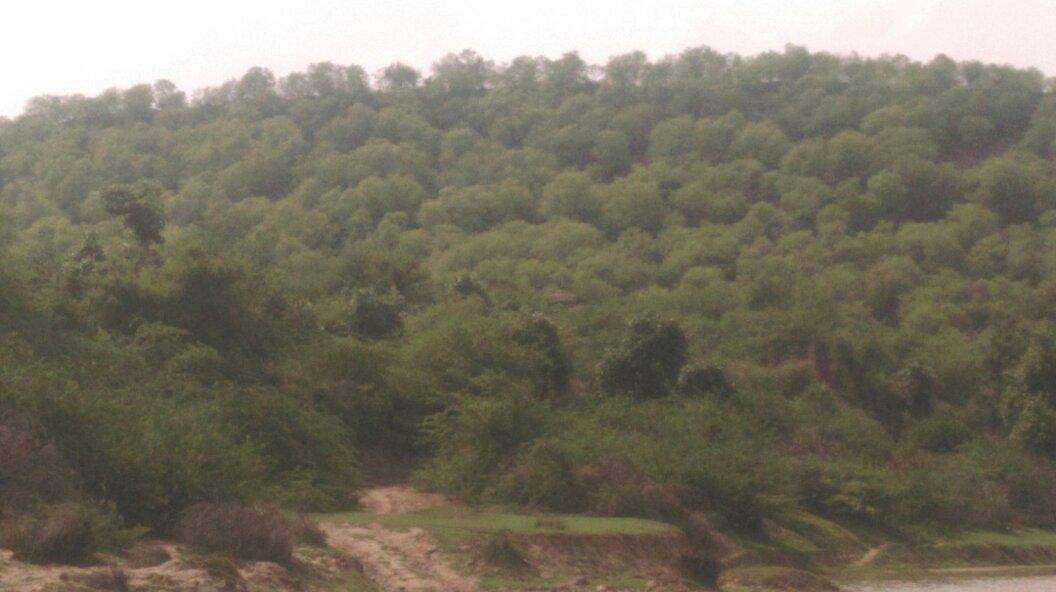Ramgarh Vishdhari Sanctuary景点图片