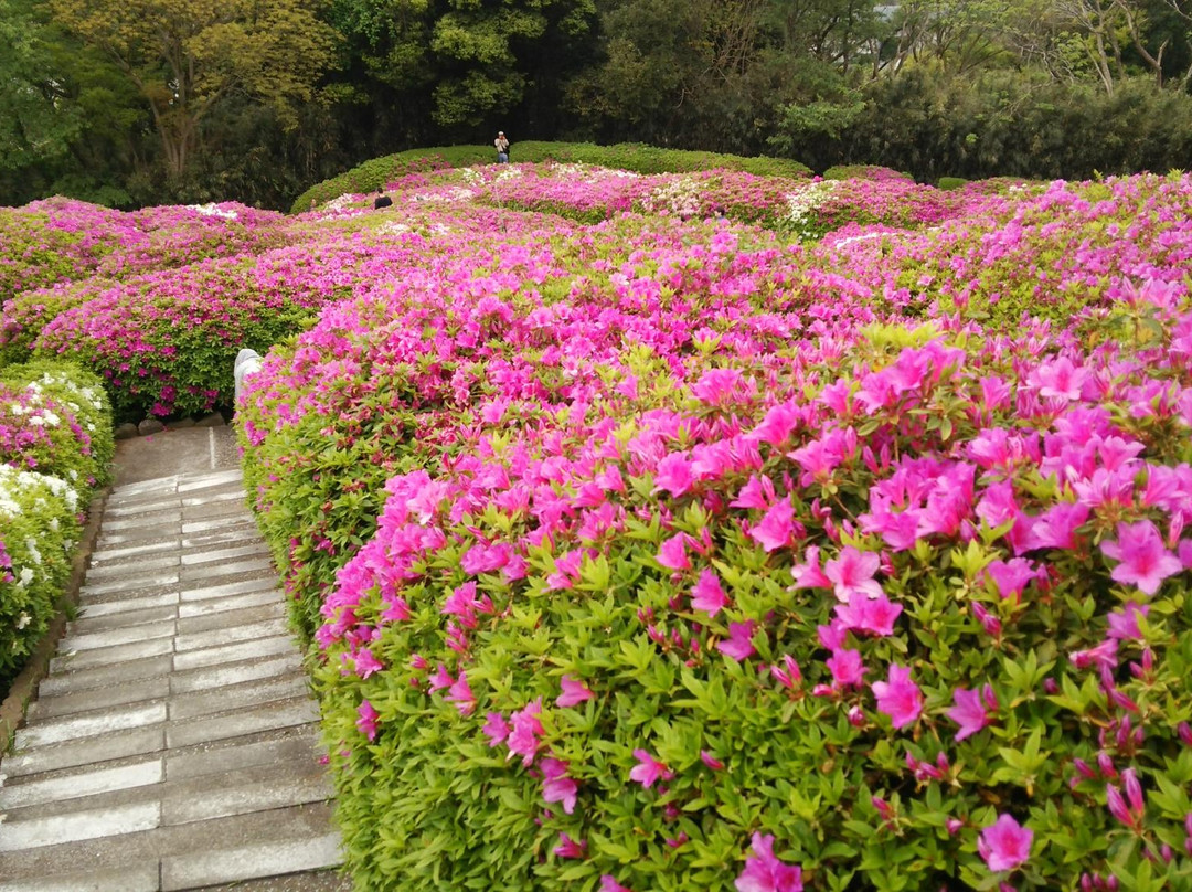 Ohtawa Tsutsuji no Oka-横须贺市必去景点
