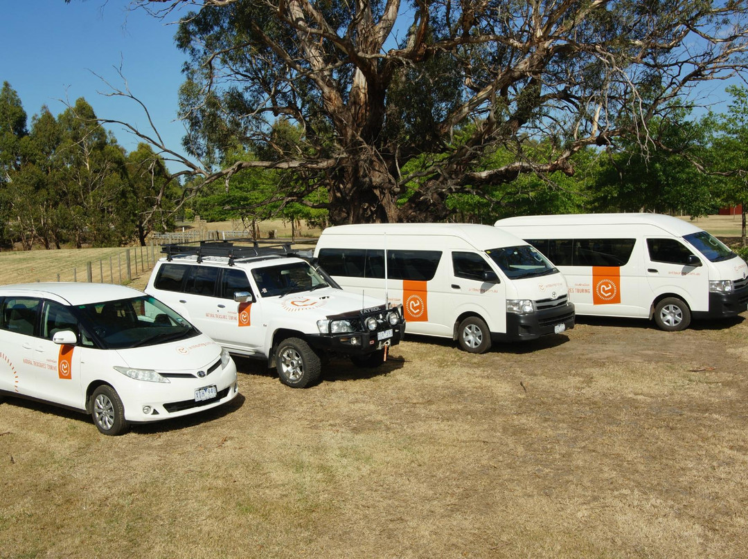 Natural Treasures Tour - Day Tours-New Gisborne必去景点