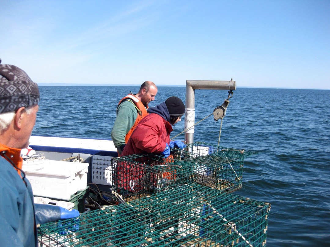 Shippagan Lighthouse-Shippagan必去景点
