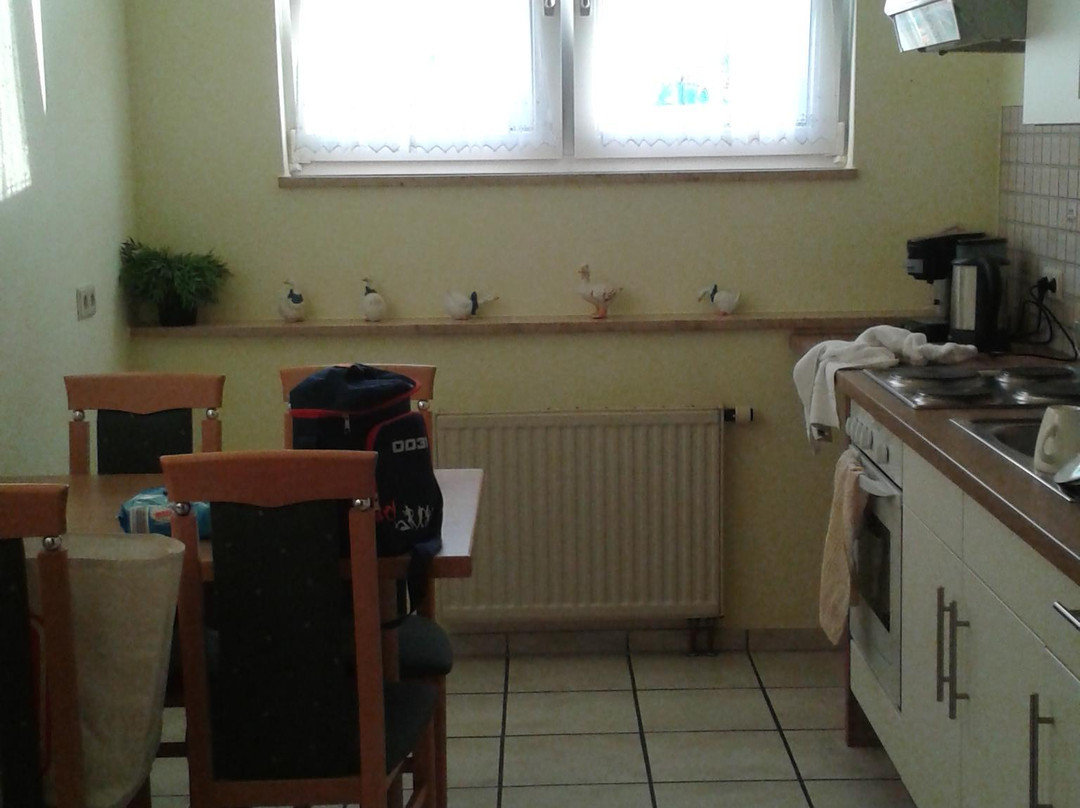 Hotel Tannenhof主图