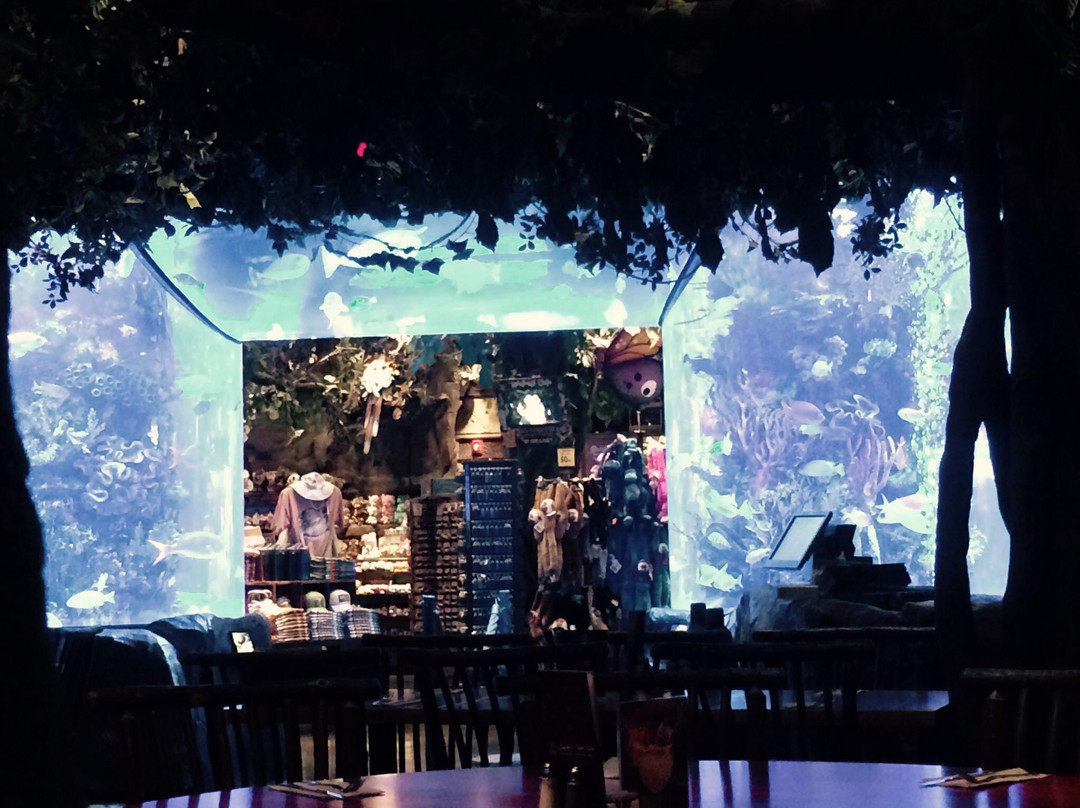 Opry Mills-纳什维尔必去景点