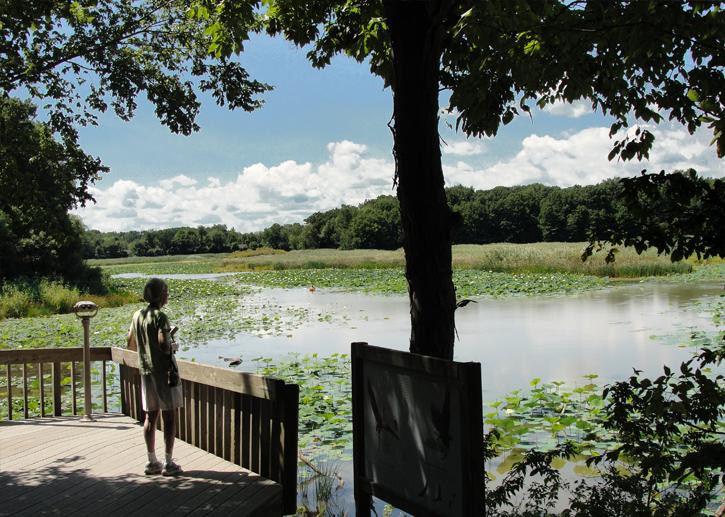 Old Woman Creek State Nature Preserve-Huron必去景点