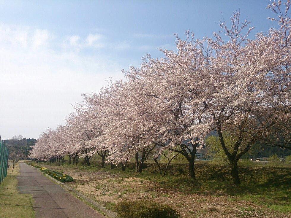 Hidagawa Park-下吕市必去景点