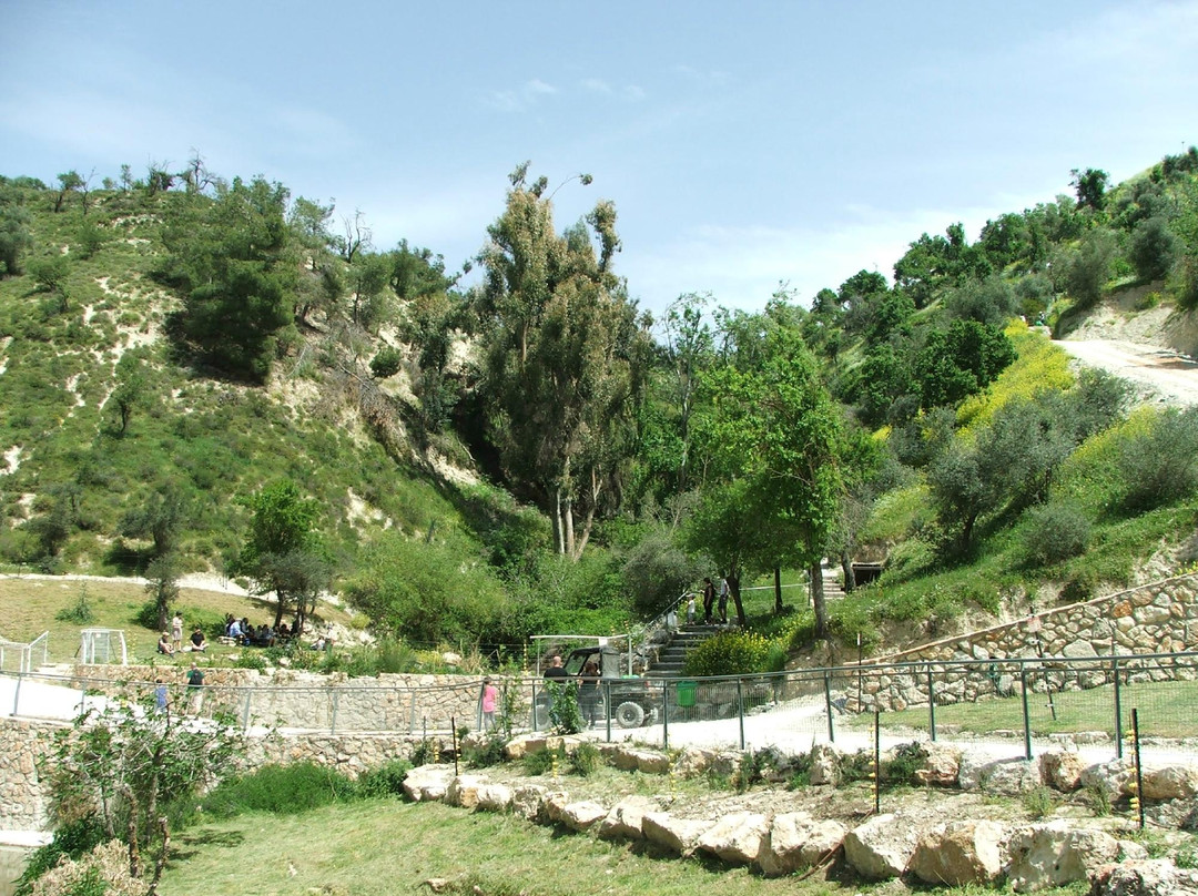 Blue Valley Park-萨法德必去景点