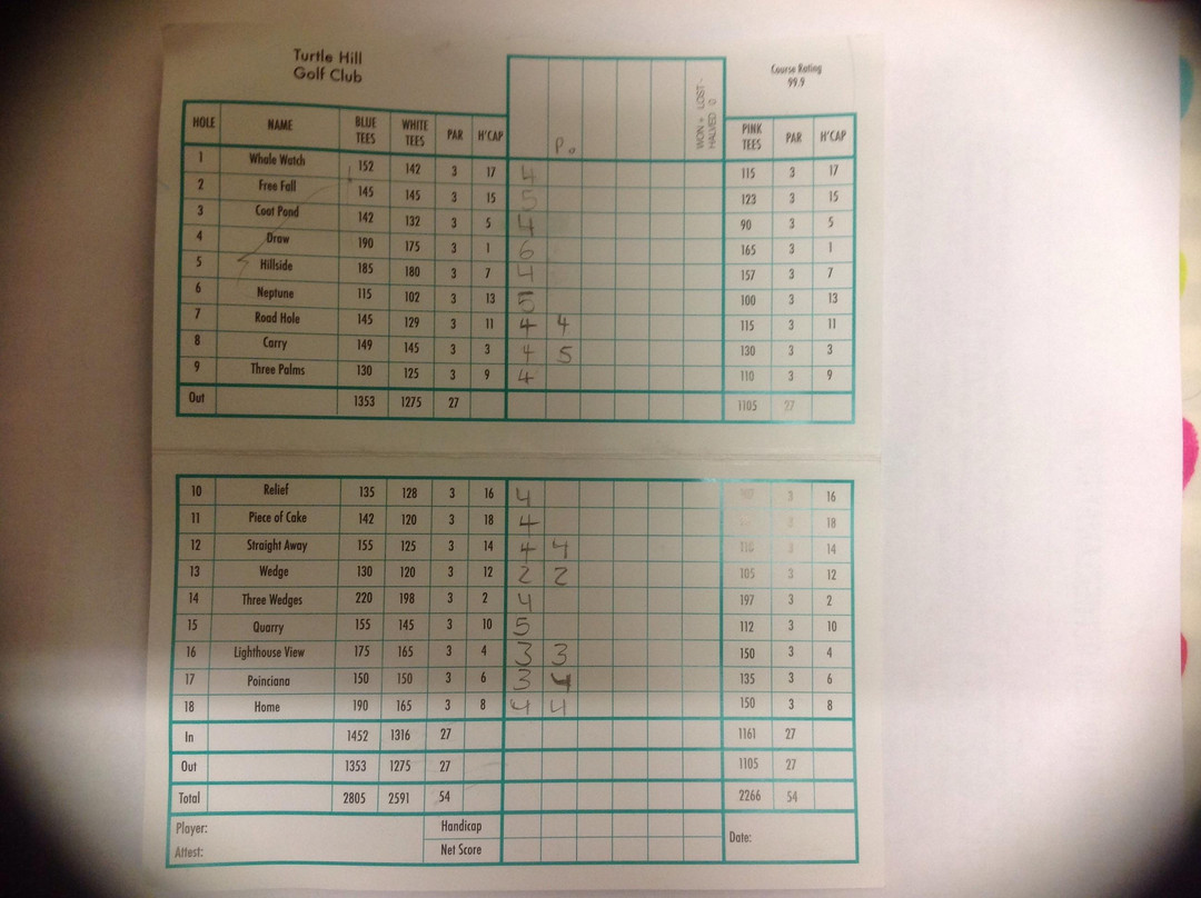 The Turtle Hill Golf Club-南安普敦必去景点