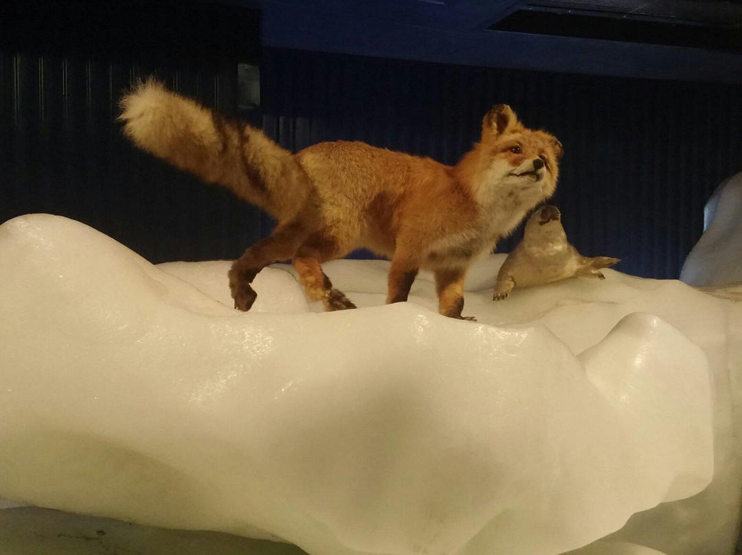 鄂霍次克流冰馆-网走市必去景点