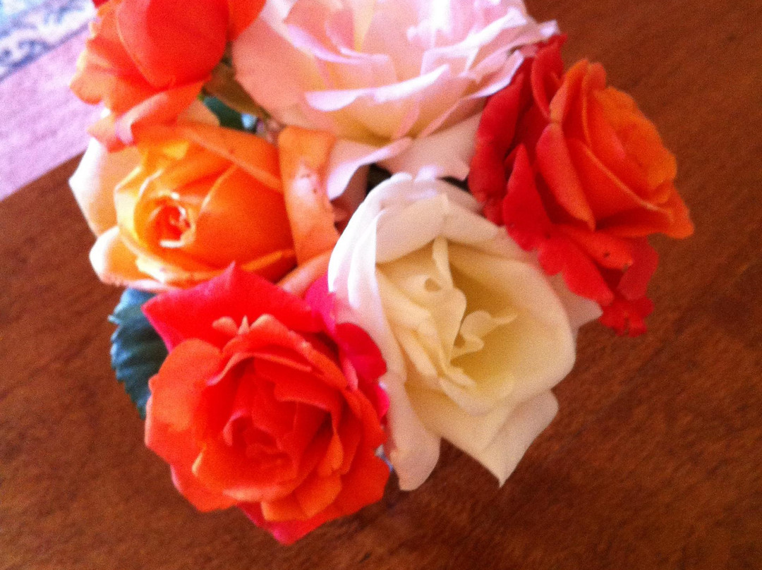 Gold Coast Regional Botanic Gardens-Benowa必去景点