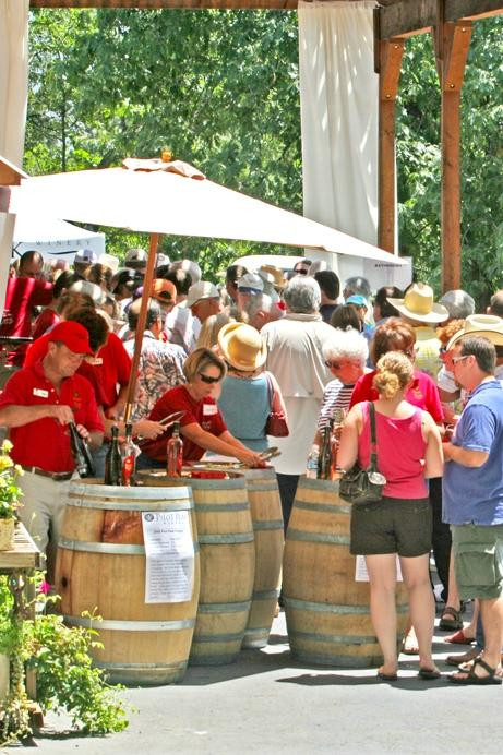 Pilot Peak Vineyard & Winery-Penn Valley必去景点