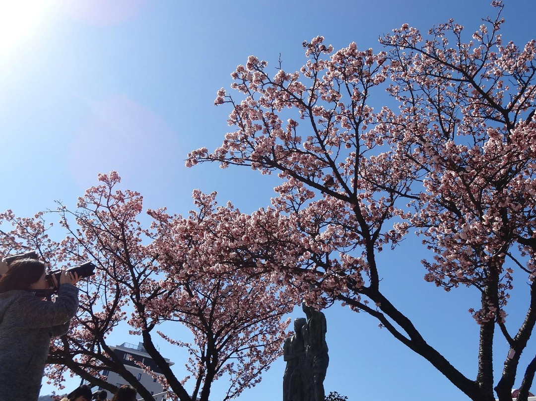 Atami Kaihin Park-热海市必去景点
