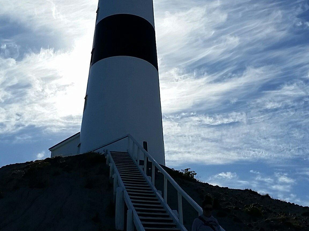 Cape Campbell Track-Ward必去景点