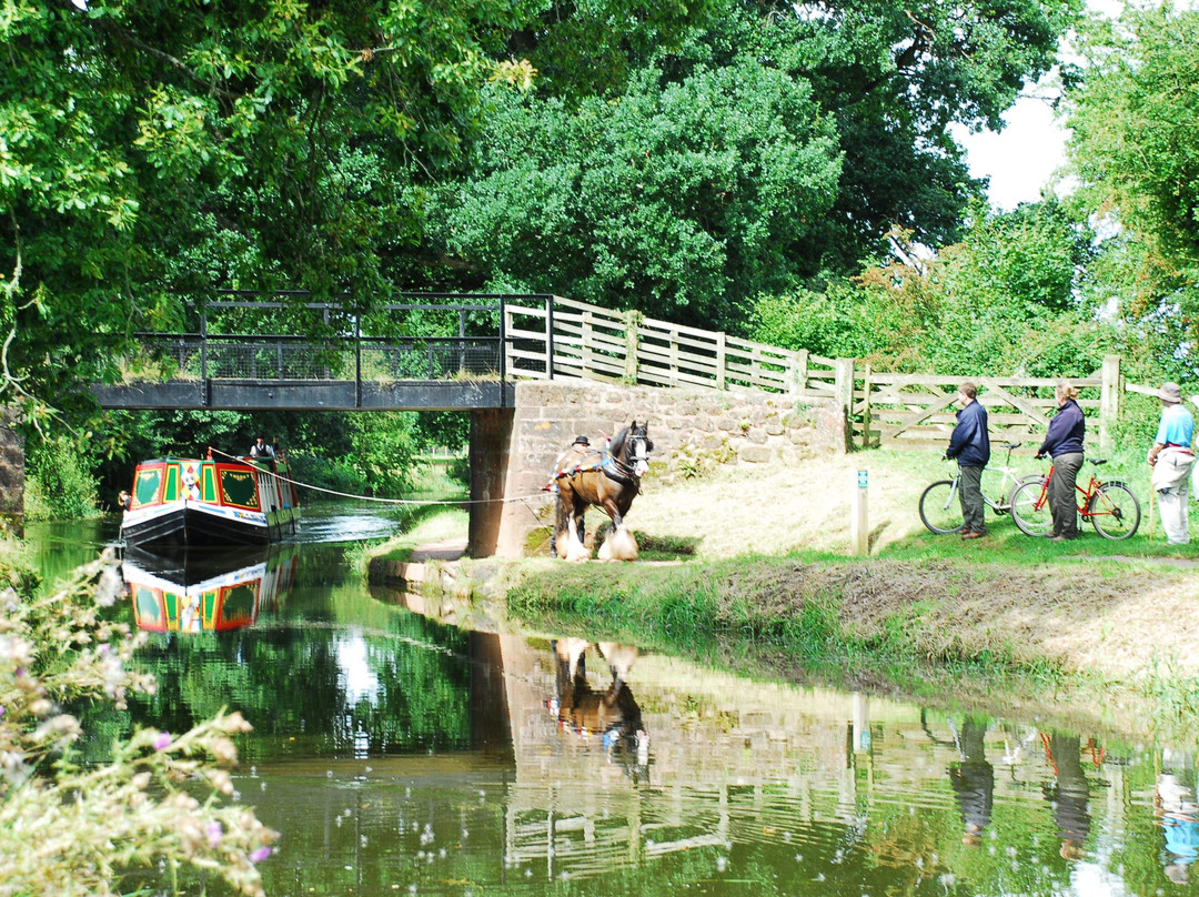 Grand Western Canal-蒂弗顿必去景点