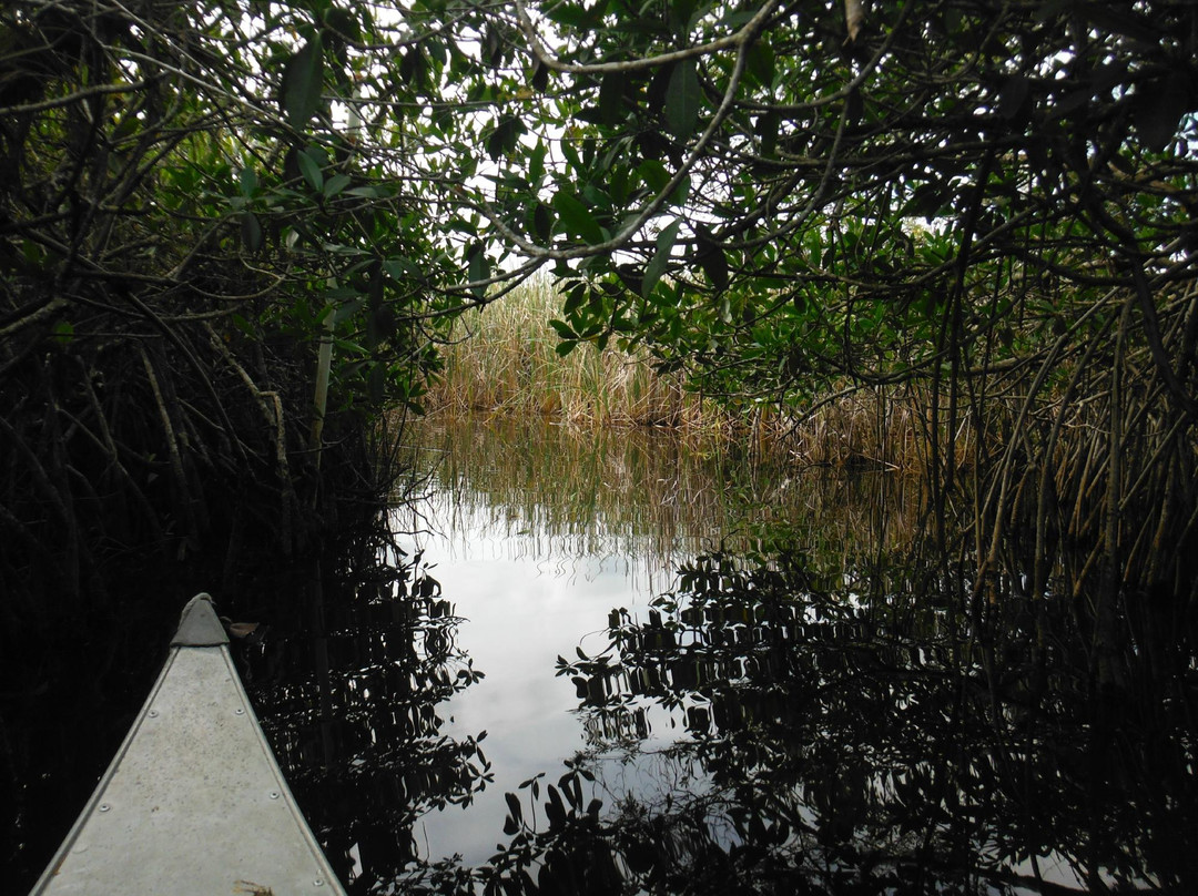 Nine Mile Pond Canoe Trail-大沼泽国家公园必去景点