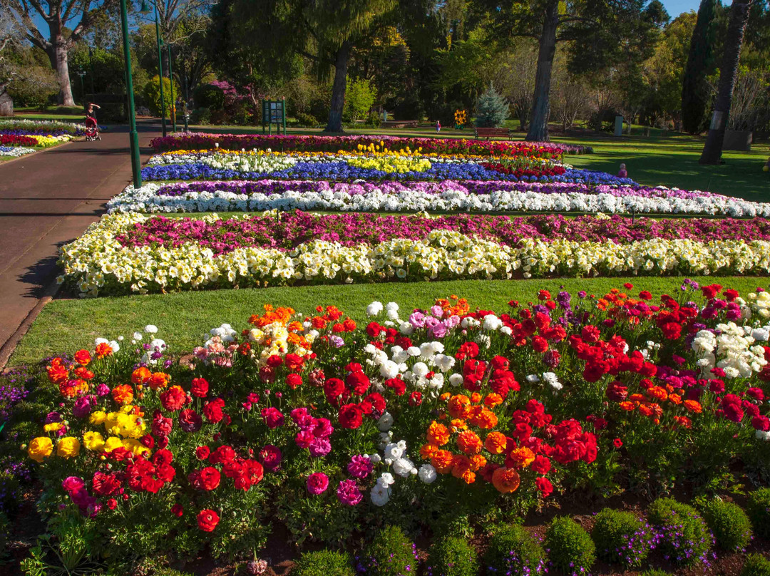 Queens Park Botanic Gardens景点图片