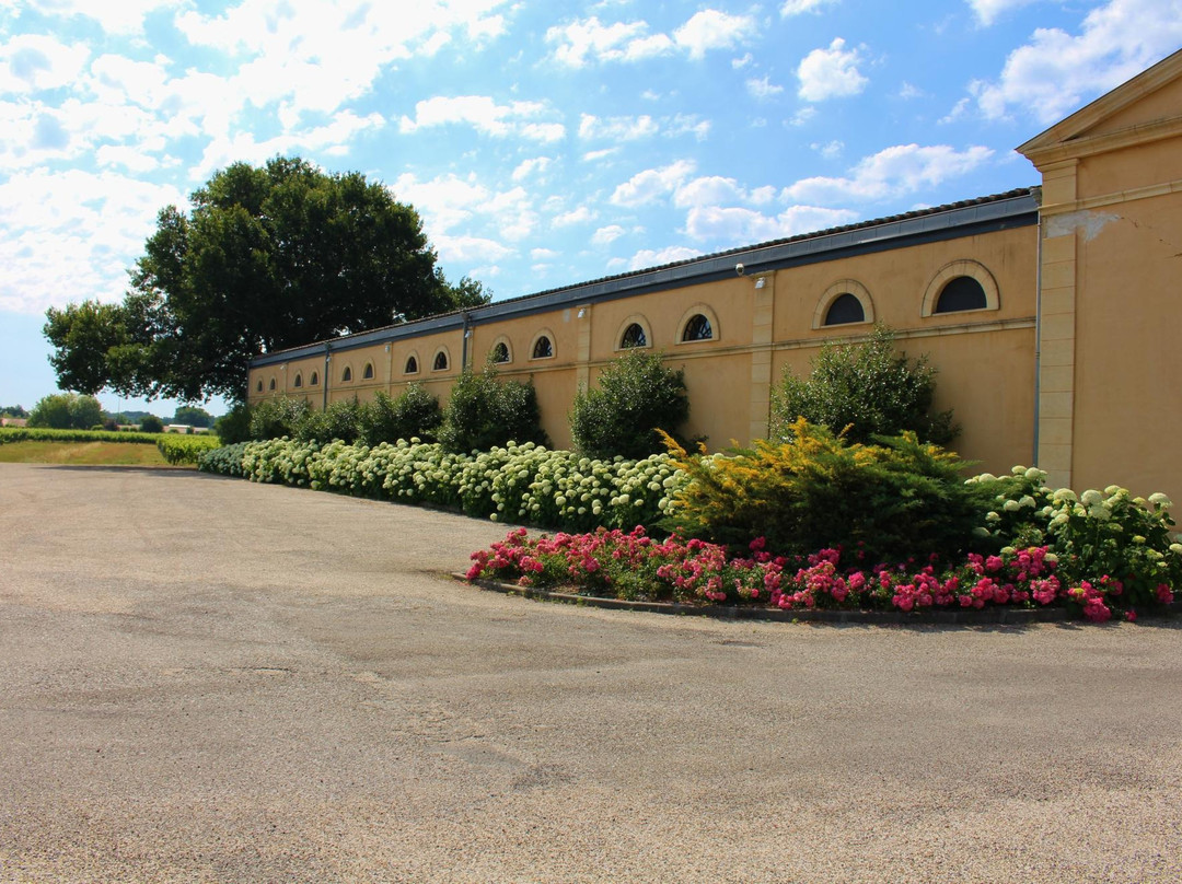 Chateau Bertinerie景点图片