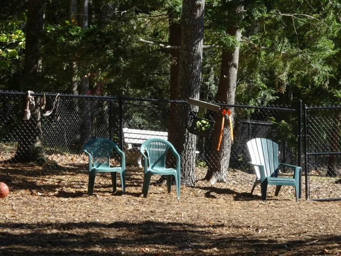 Ogunquit Dog Park景点图片