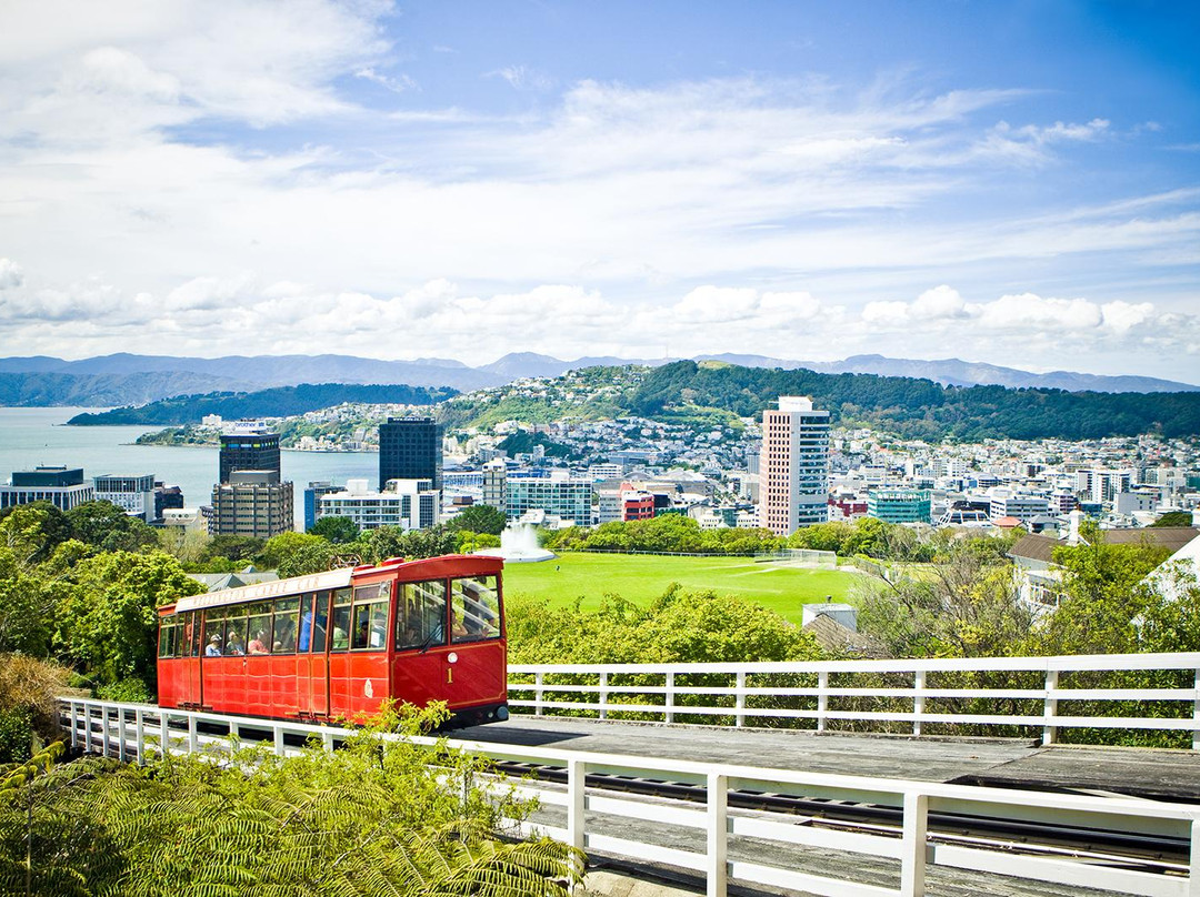 Hammonds Wellington Tours-惠灵顿必去景点