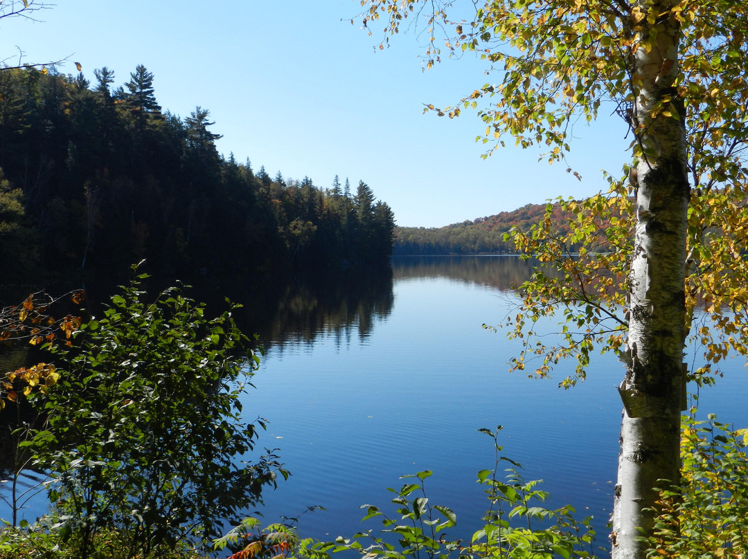 Arrowhead Provincial Park-亨茨维尔必去景点