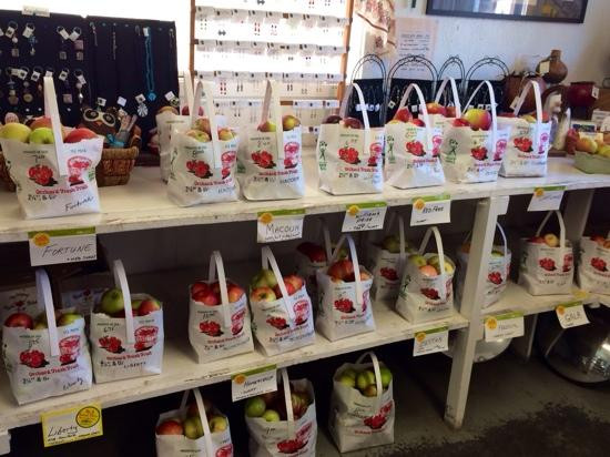Bashista Orchards and Cider Mill景点图片