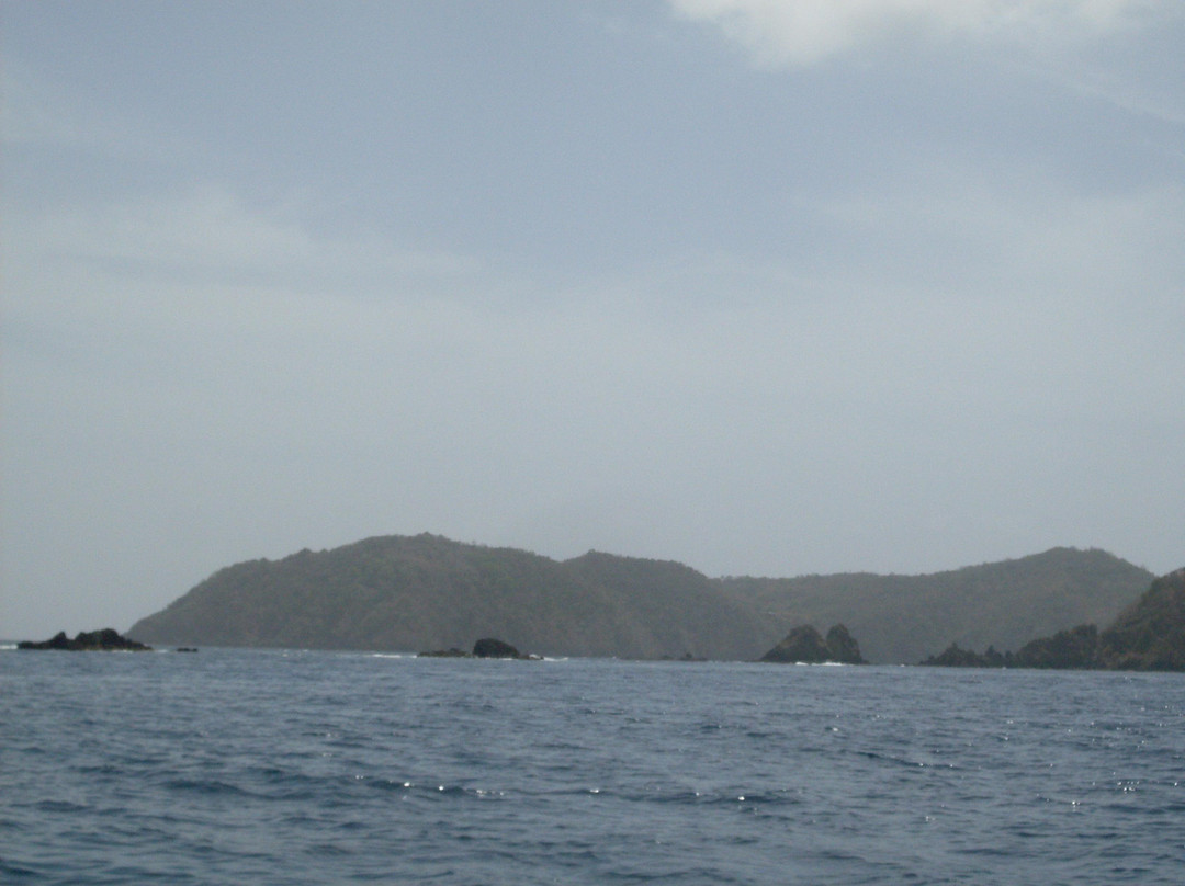 Little Tobago-Northeast Coast必去景点