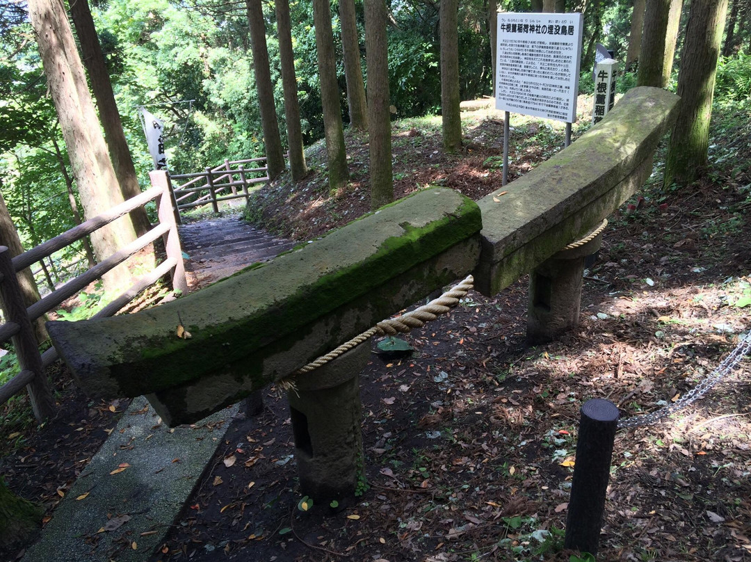 Ushine Fumoto Inari Shrine Buried Torii-垂水市必去景点