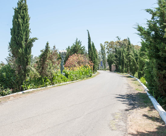 Agios Georgios酒店住宿-Sandy Beach Resort - Rizos Resorts