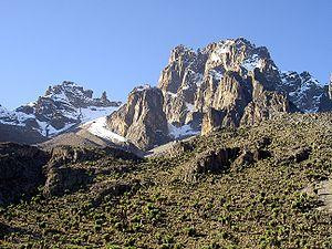 Akazuba Gorilla Tours - Day Tours景点图片