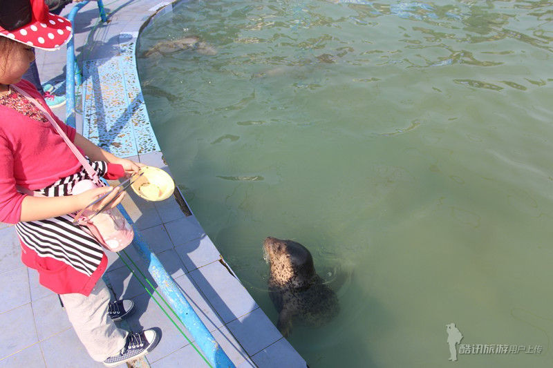 长岛月牙湾公园-长岛县必去景点