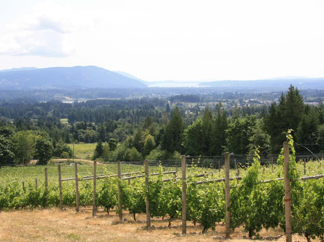 Averill Creek Vineyard景点图片